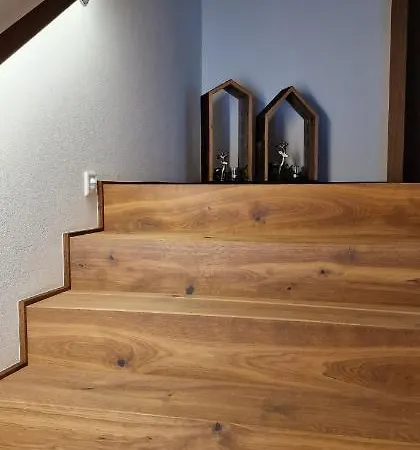 Haus Moosbrugger Mellau